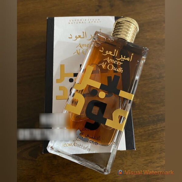 AMEER AL OUDH