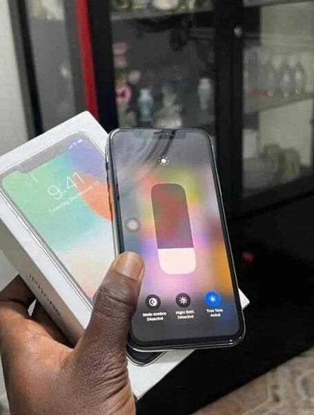 iPhone X 128 Go Gris Argenté