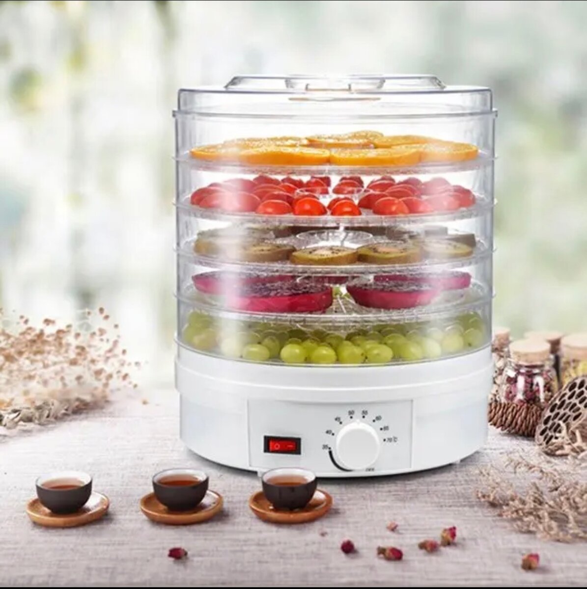 Desydrateur Alimentaire