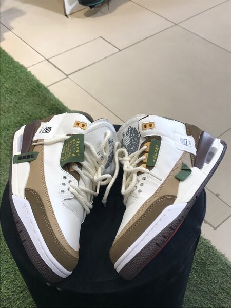 Jordan 3 new design