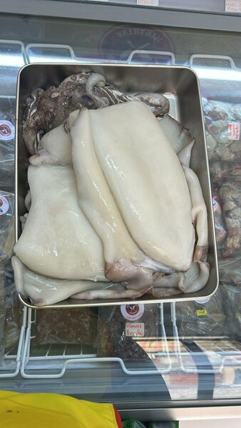 Calamars frais