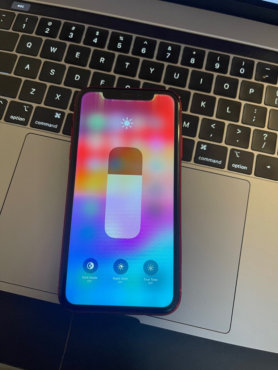 iPhone XR