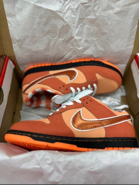 Nike SB dunks