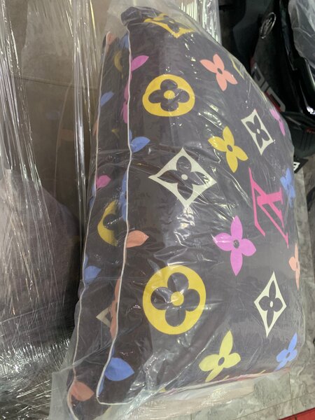 2 in 1 pillow