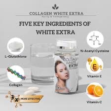 Supplement