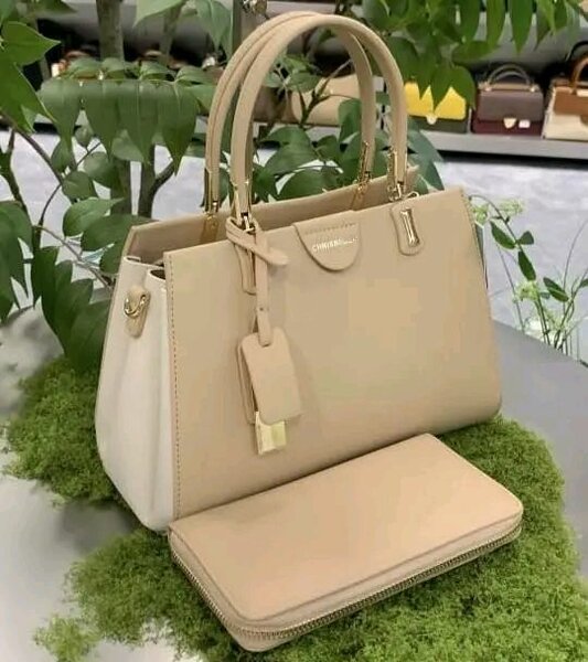 Chicskille Sacs à Main Élégants