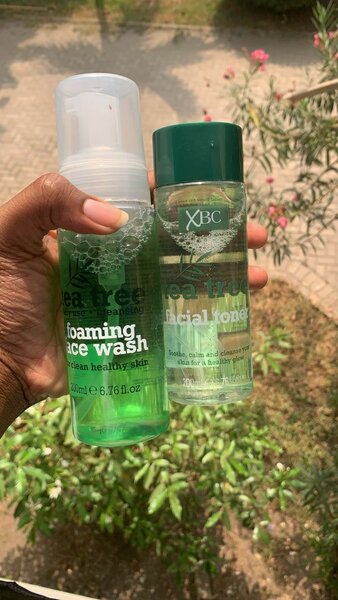 Xbc tea tree oil