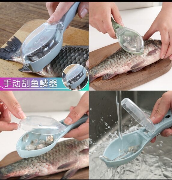 Fish Scrapper