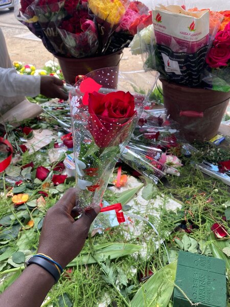 Roses