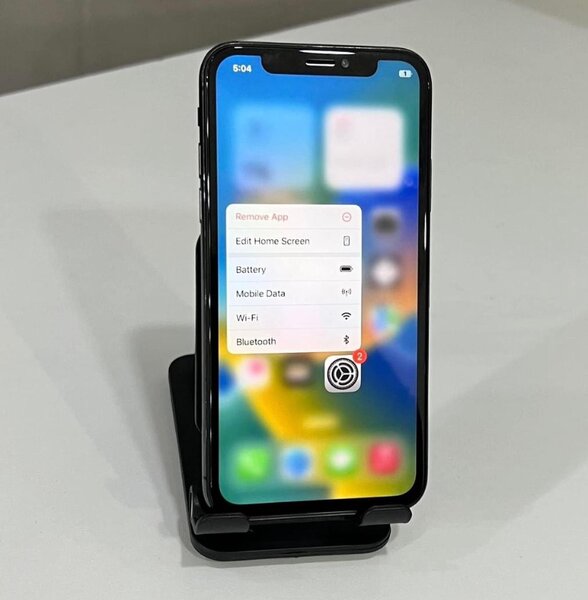 iPhone X