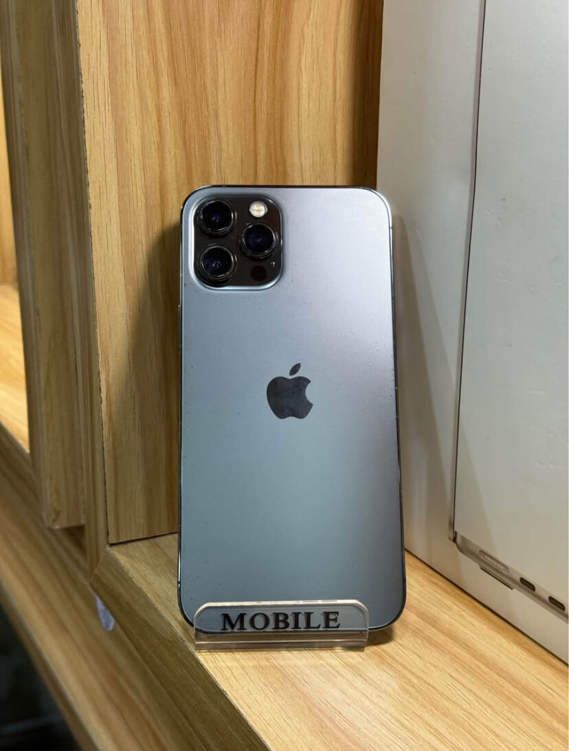 iPhone 13 Pro Max Argent