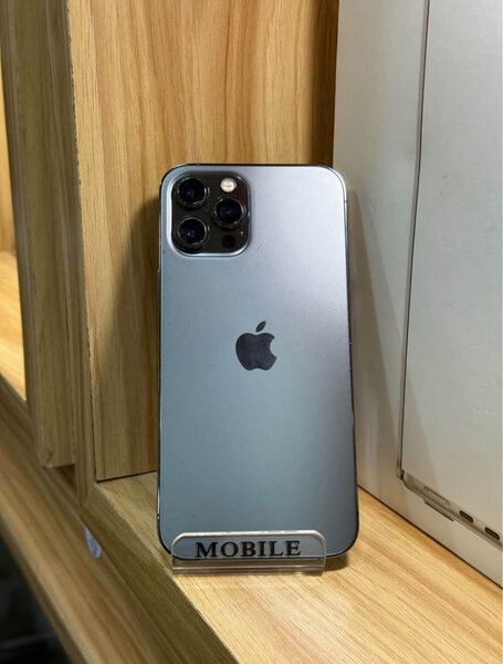 iPhone 13 Pro Max Argent
