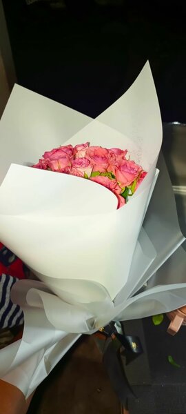 Pink Roses