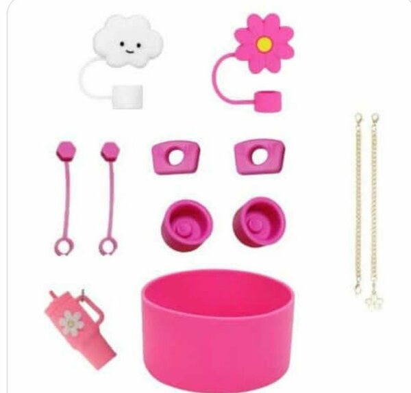 Stanley cup accessories