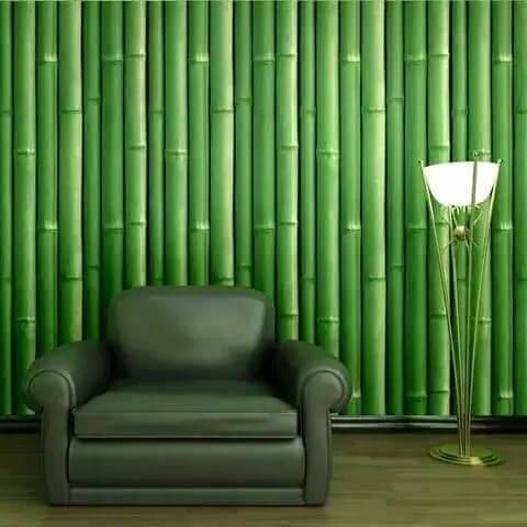 Papier peint