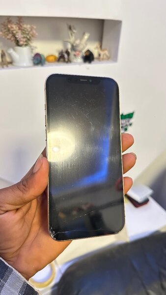 12pro max 512gb