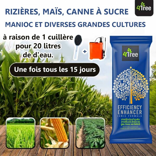 4tree bouster plante