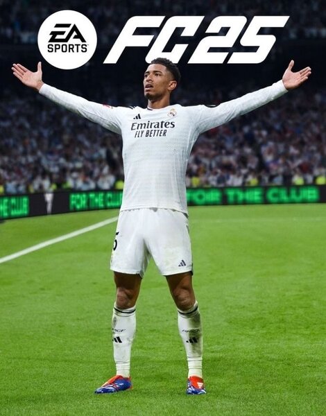 FC 25 sur PC
