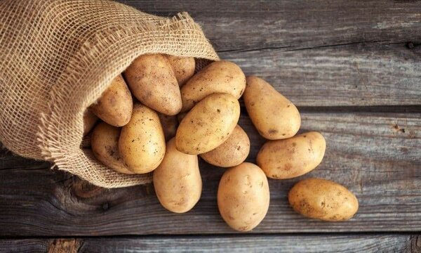 POTATOES 10KG