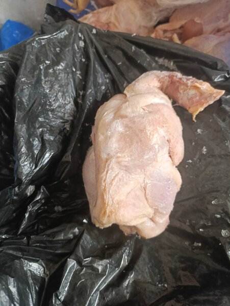 Poulet de chairs
