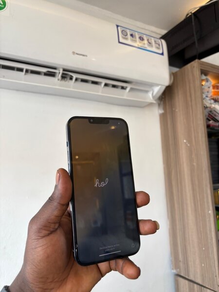 iPhone 13pro max