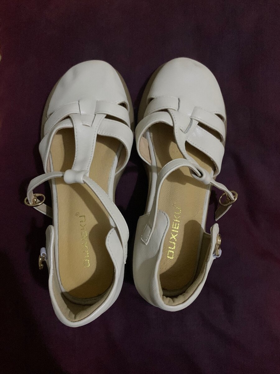 Talons