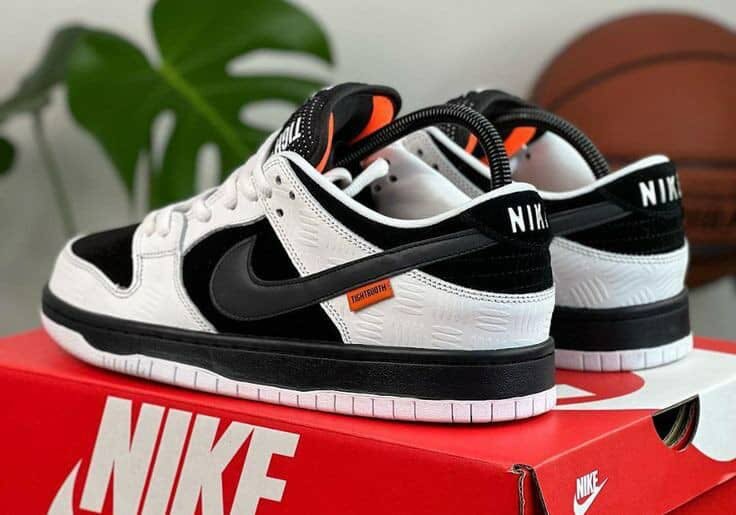 Nike SB