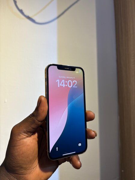 iPhone 12pro