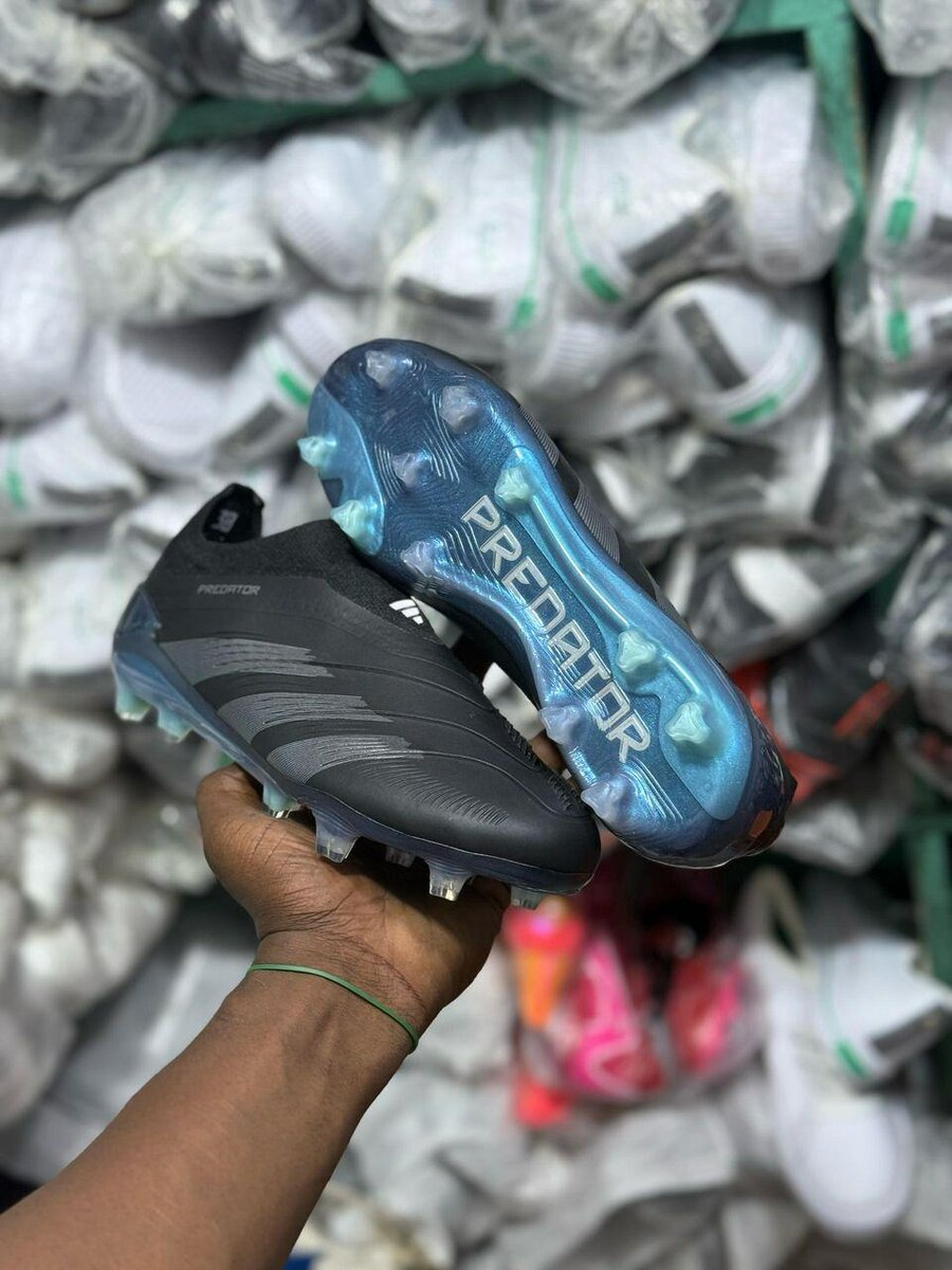 Superbe predator