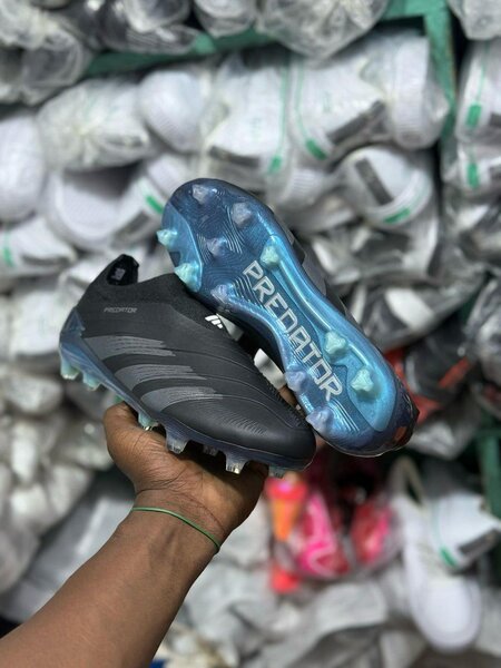 Superbe predator