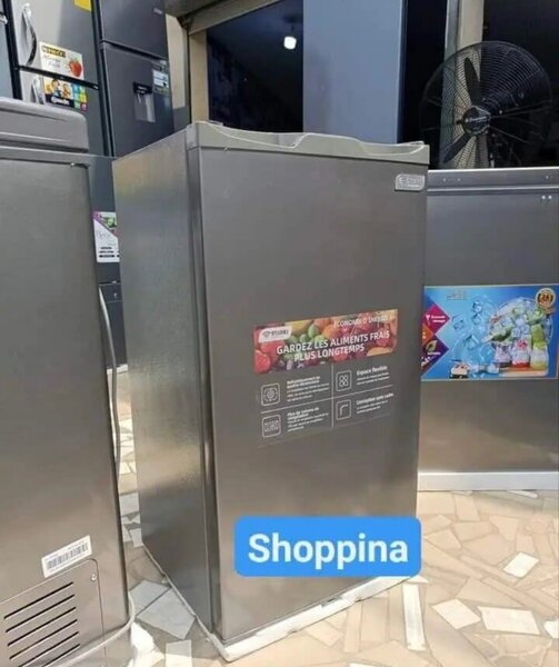 Mini-frigo à deux portes élégant