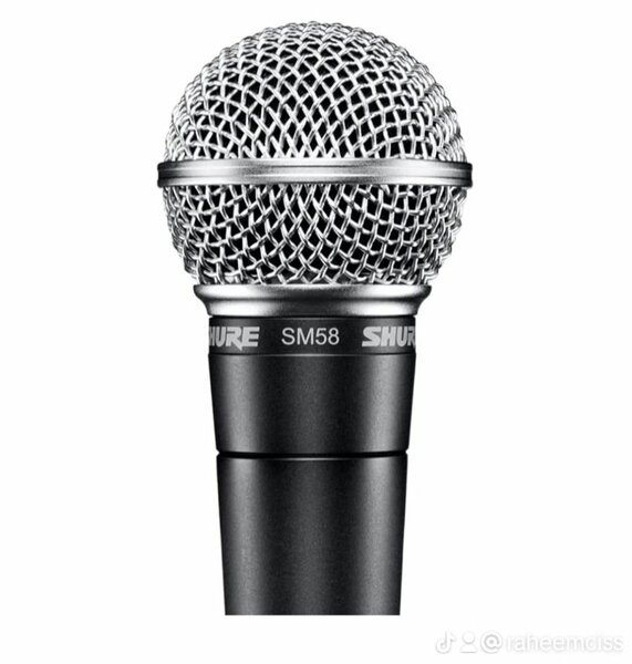 Microphone Shure SM58