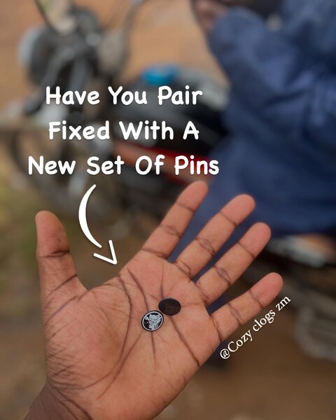 CROC PINS