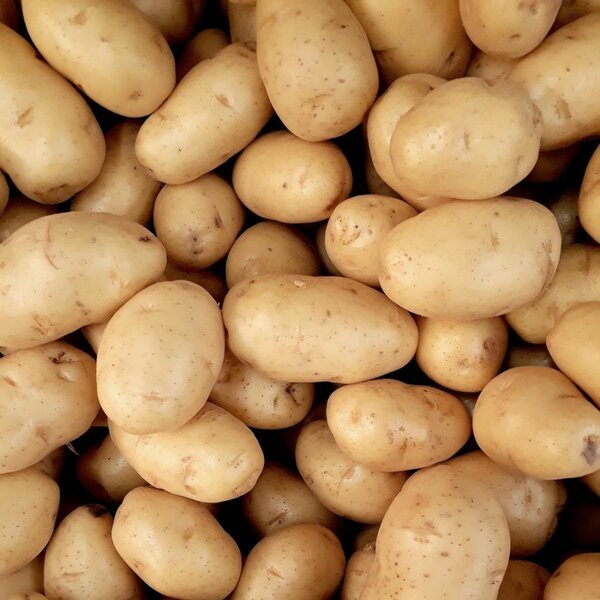 Pommes de Terre Fraîches