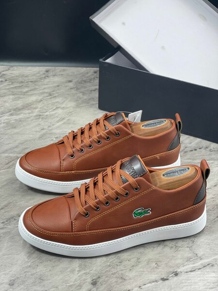 Trendz collection
