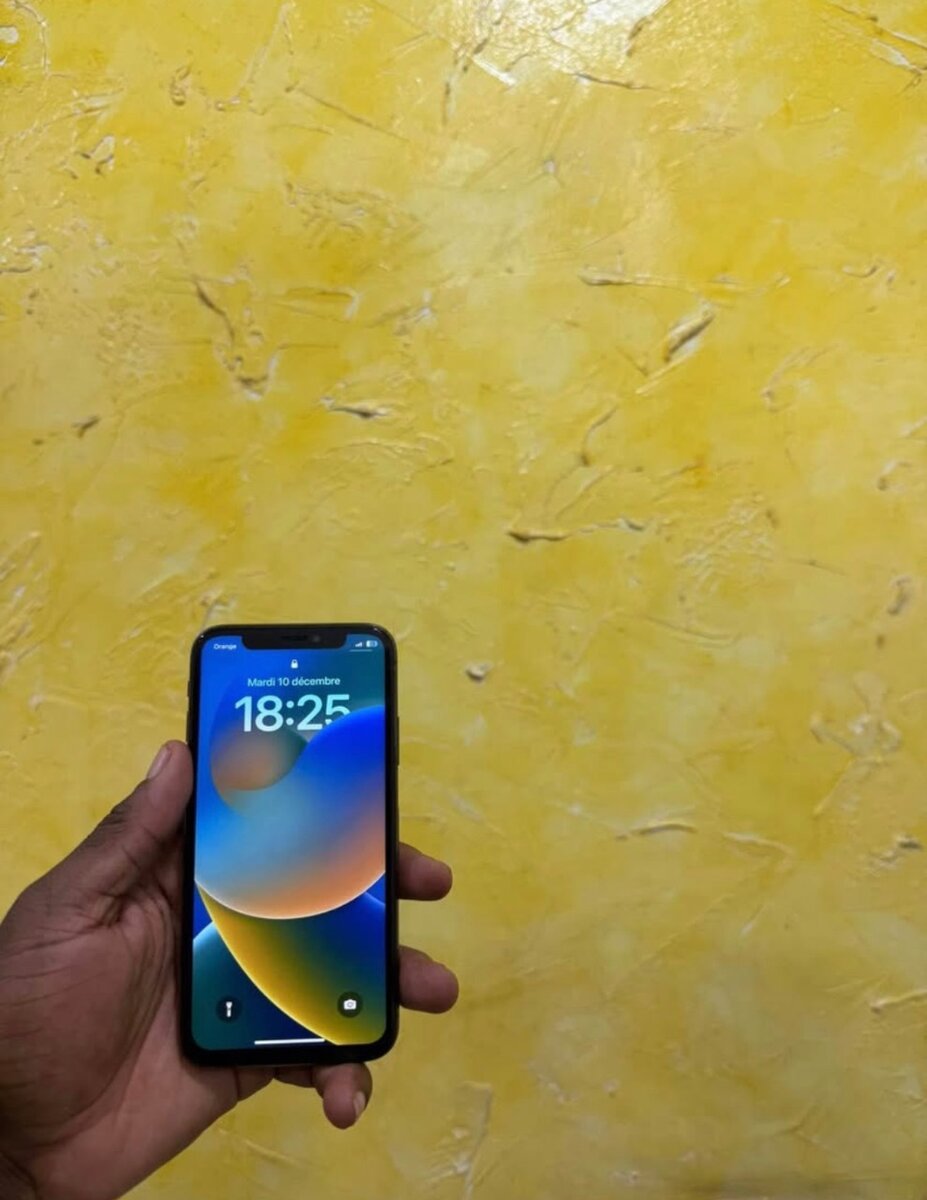 iPhone X