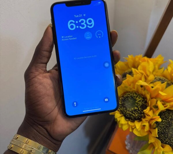 iPhone 13 Pro Max