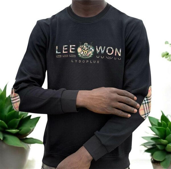 Pulls homme