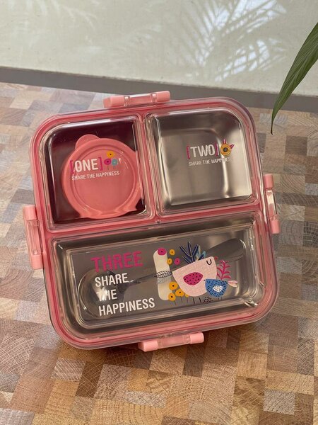 Stainless lunchbox