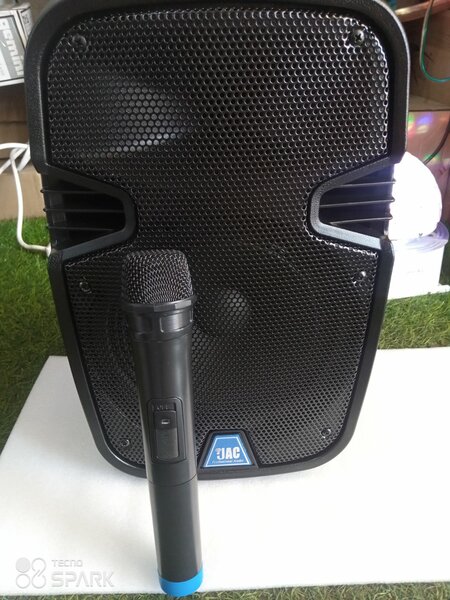 PA portable system
