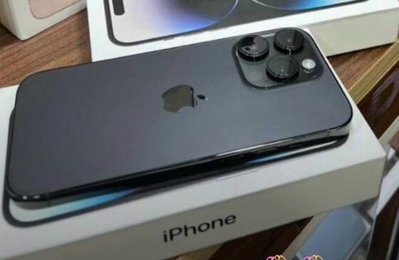 14 pro max