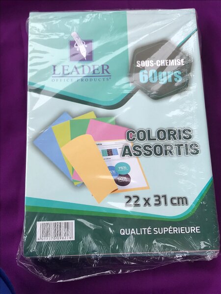 Sous chemise X 12