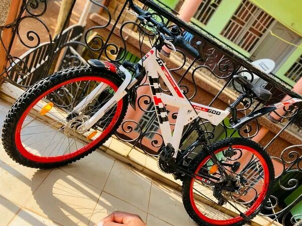 Vélo de montagne robuste