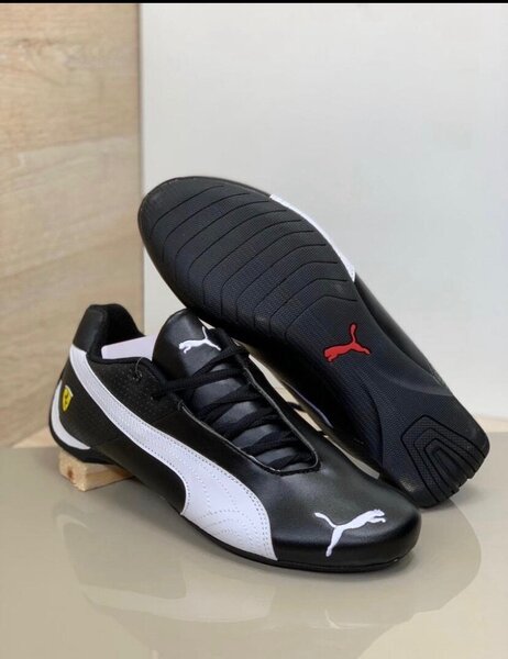 Puma sport