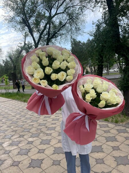 Пионы