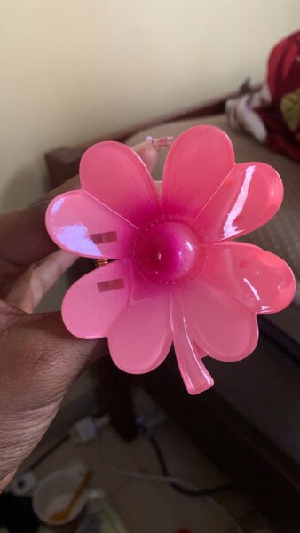 Hair clips