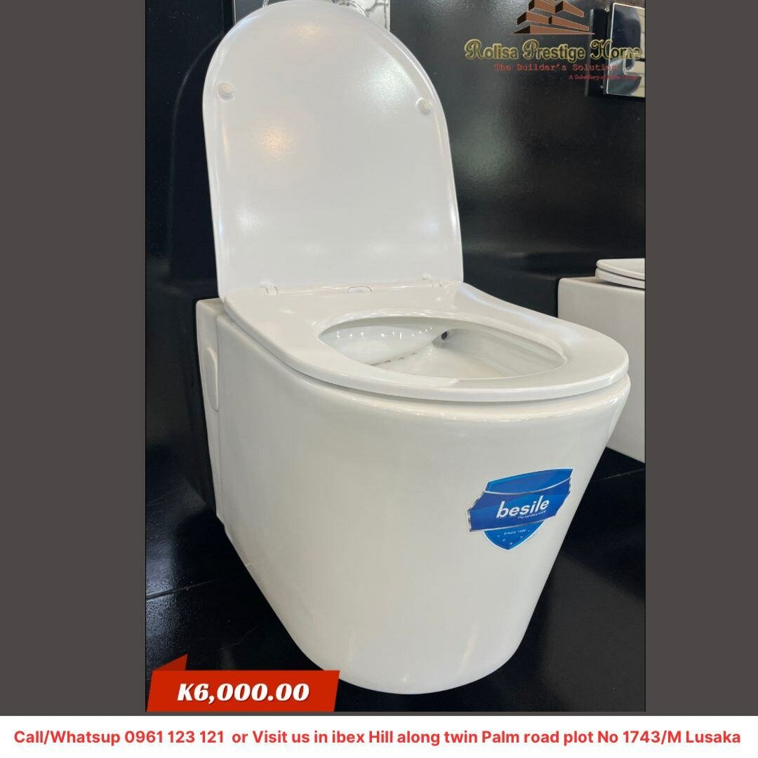 Wall hang toilet