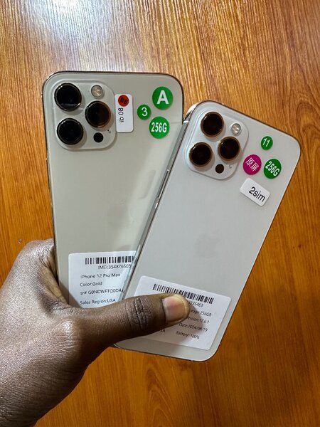 iPhone 12 Pro Max