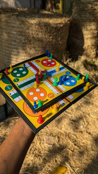 Magnetic ludo