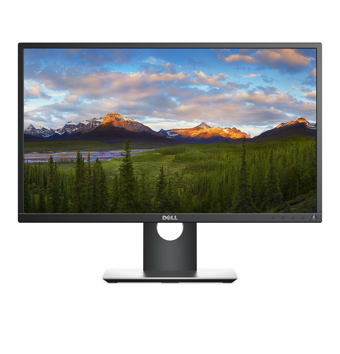 Dell Flat Panel Monitor 24"